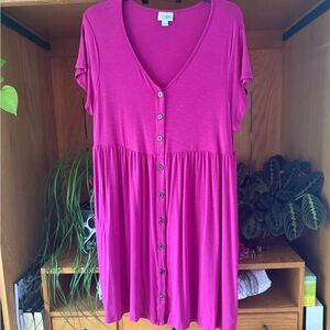 LuLaRoe Pink Button-Down Dress